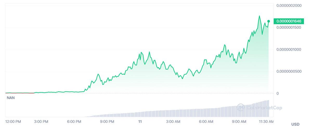 Elon Musk Yine Tek Bir Tweet ile Kimsenin Adını Bile Bilmediği Token’a Yüzde 12 Bin Değer Kazandırdı
