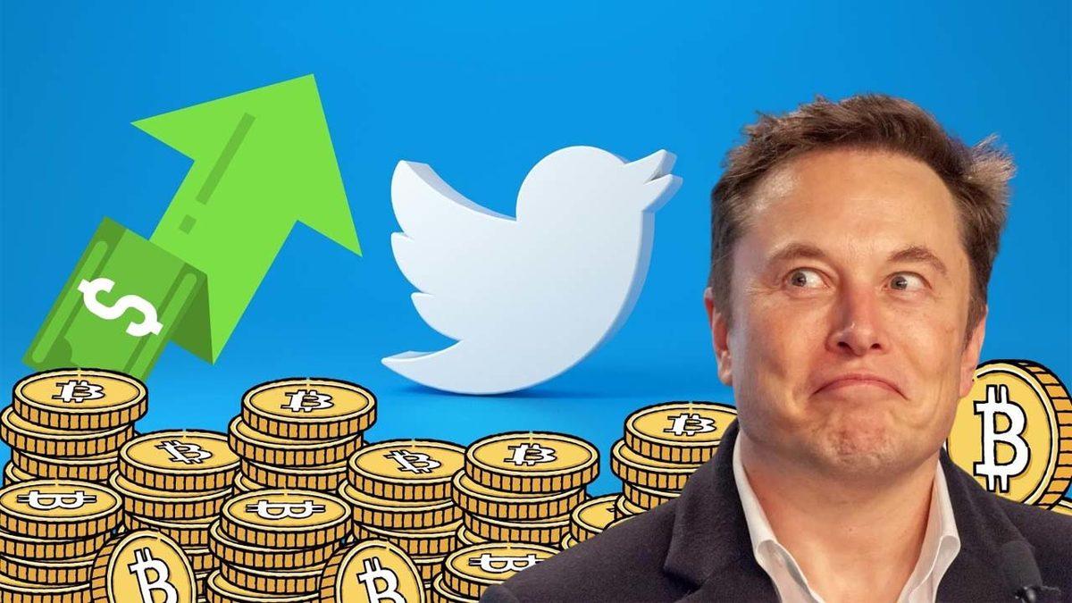 Elon Musk Yine Tek Bir Tweet ile Kimsenin Adını Bile Bilmediği Token’a Yüzde 12 Bin Değer Kazandırdı