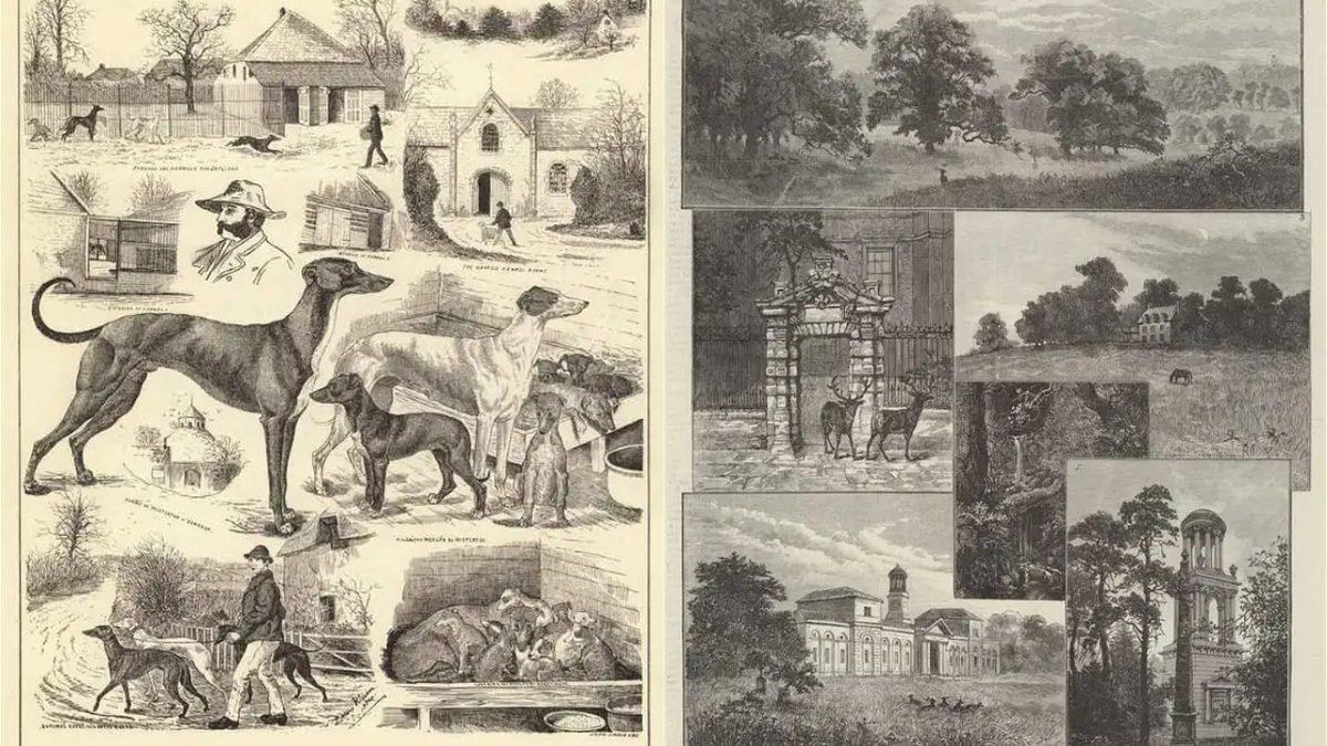 Eşini Kaybedince Bunalıma Girip Akıl Hastanesine Yatan Bir Ressamın Çizdiği Resimlerin Zaman İçindeki Korkutucu Değişimi