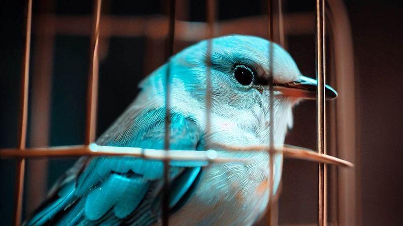 Twitter’dan Seçim Öncesinde Türkiye Hakkında Kritik Bir Açıklama Geldi