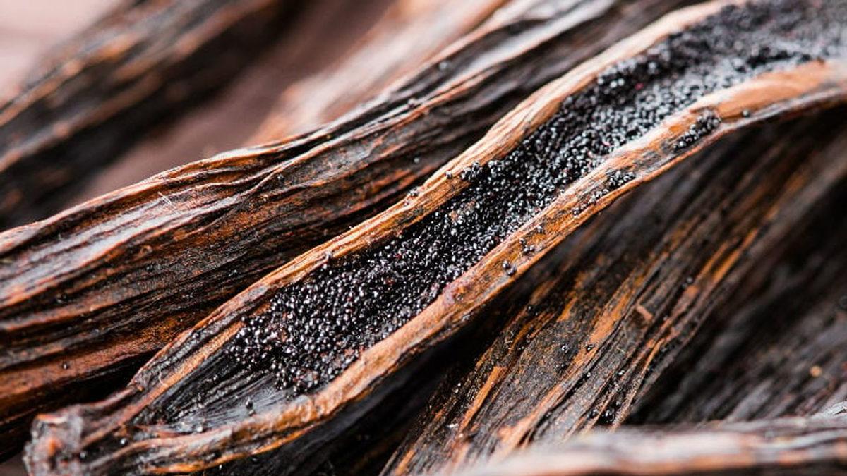 Koklayanlarda Cinsel Hazzı Artıran Afrodizyak Etkili 9 Koku Önerisi