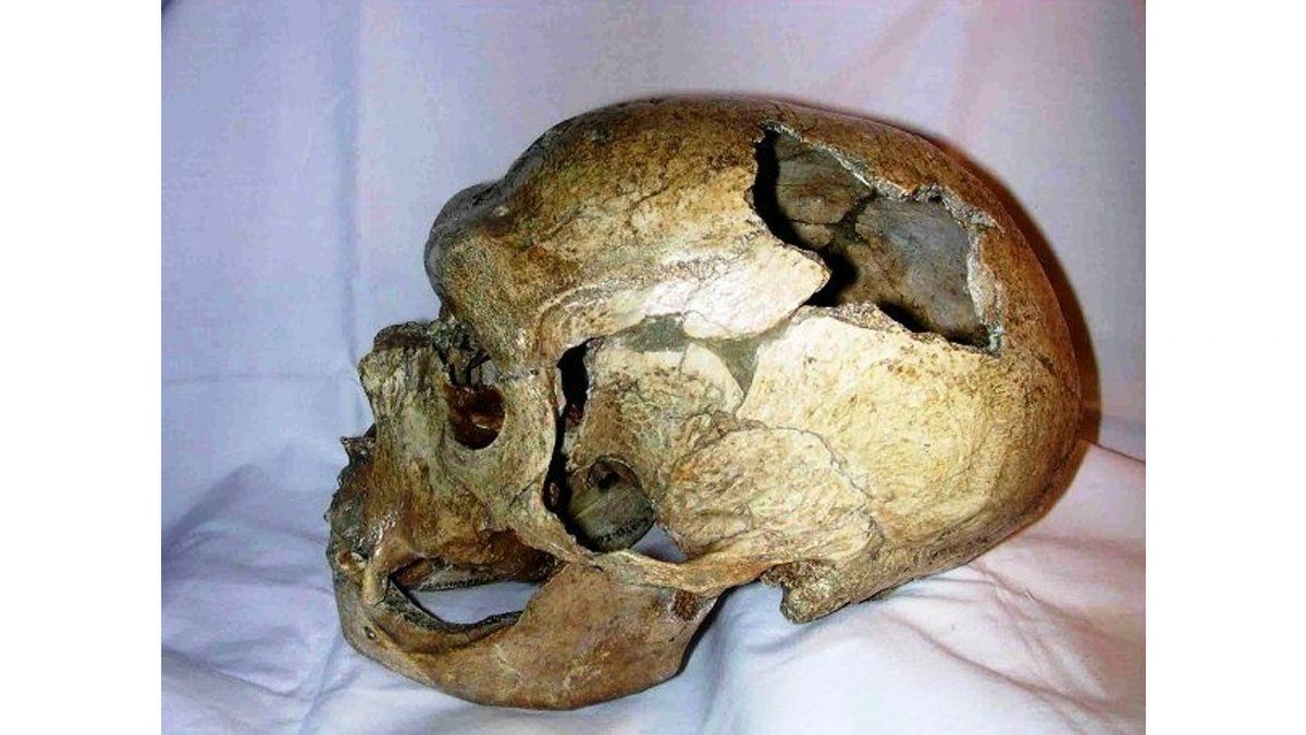 Vampir Cenaze Törenlerinden Beyni Yenmiş Kafataslarına… Birbirinden Ürkütücü 10 Arkeolojik Keşif