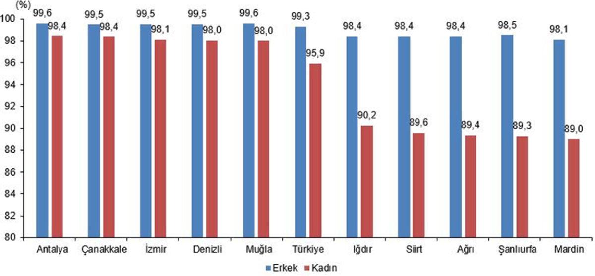 TÜİK, Ulusal Eğitim İstatistiklerini Açıkladı: Türkiye, Lise Mezunu Bile Değil
