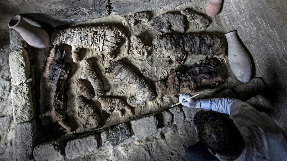 Kedileri Mücevherlerle Süsleyen Hatta Mumyalayan Antik Mısırlılar Onlara Neden Bu Kadar Takıntılıydı?