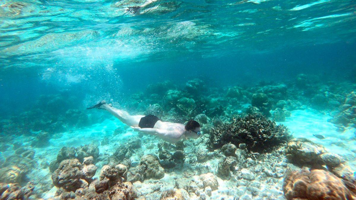 Her Yaz Ortamların Kilit Sorusu: Havuzda mı Yüzmek Daha Sağlıklı, Denizde mi?