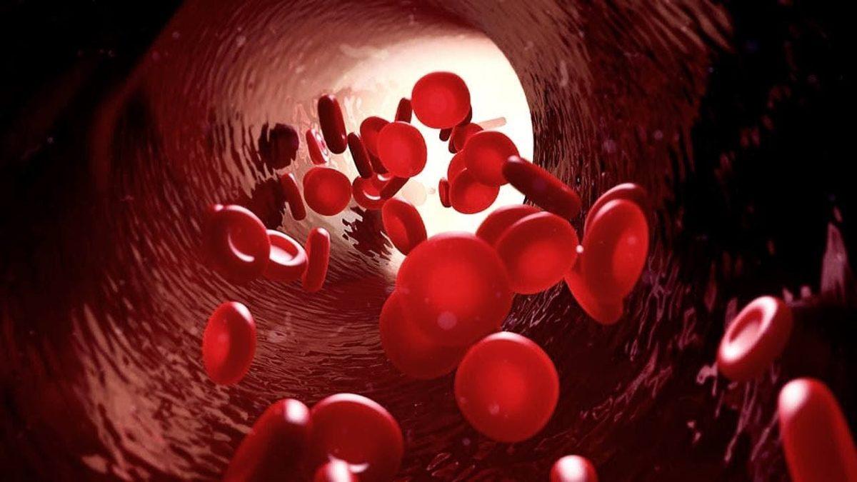 ’Tam Kan Sayımı’ Olarak da Bilinen Hemogram Testi ile Pek Çok Hastalığı Daha Ortaya Çıkmadan Tespit Etmek Mümkün: Hemogram Nedir, Kaç Olmalı?