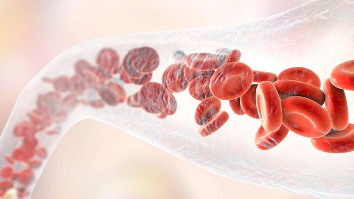 ’Tam Kan Sayımı’ Olarak da Bilinen Hemogram Testi ile Pek Çok Hastalığı Daha Ortaya Çıkmadan Tespit Etmek Mümkün: Hemogram Nedir, Kaç Olmalı?