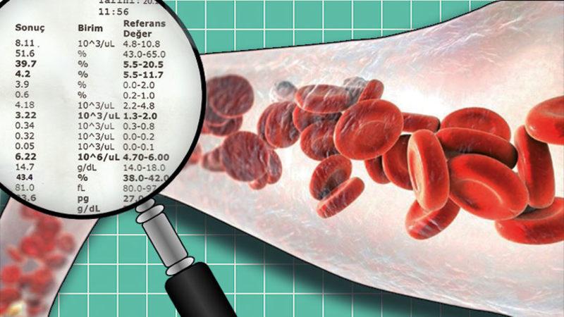 ’Tam Kan Sayımı’ Olarak da Bilinen Hemogram Testi ile Pek Çok Hastalığı Daha Ortaya Çıkmadan Tespit Etmek Mümkün: Hemogram Nedir, Kaç Olmalı?