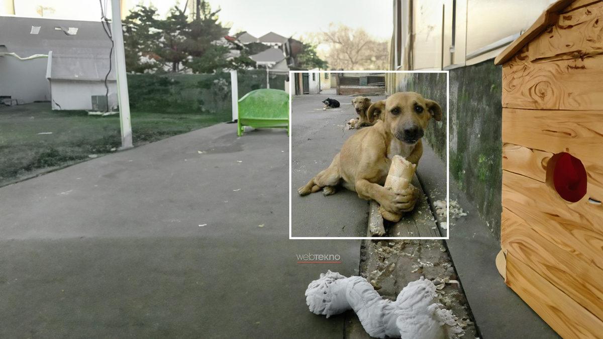 Türk İnternet Fenomenlerinin İkonik Görsellerini Yapay Zekâ ile Genişlettik: Meğer Perde Arkasında Neler Varmış Neler!