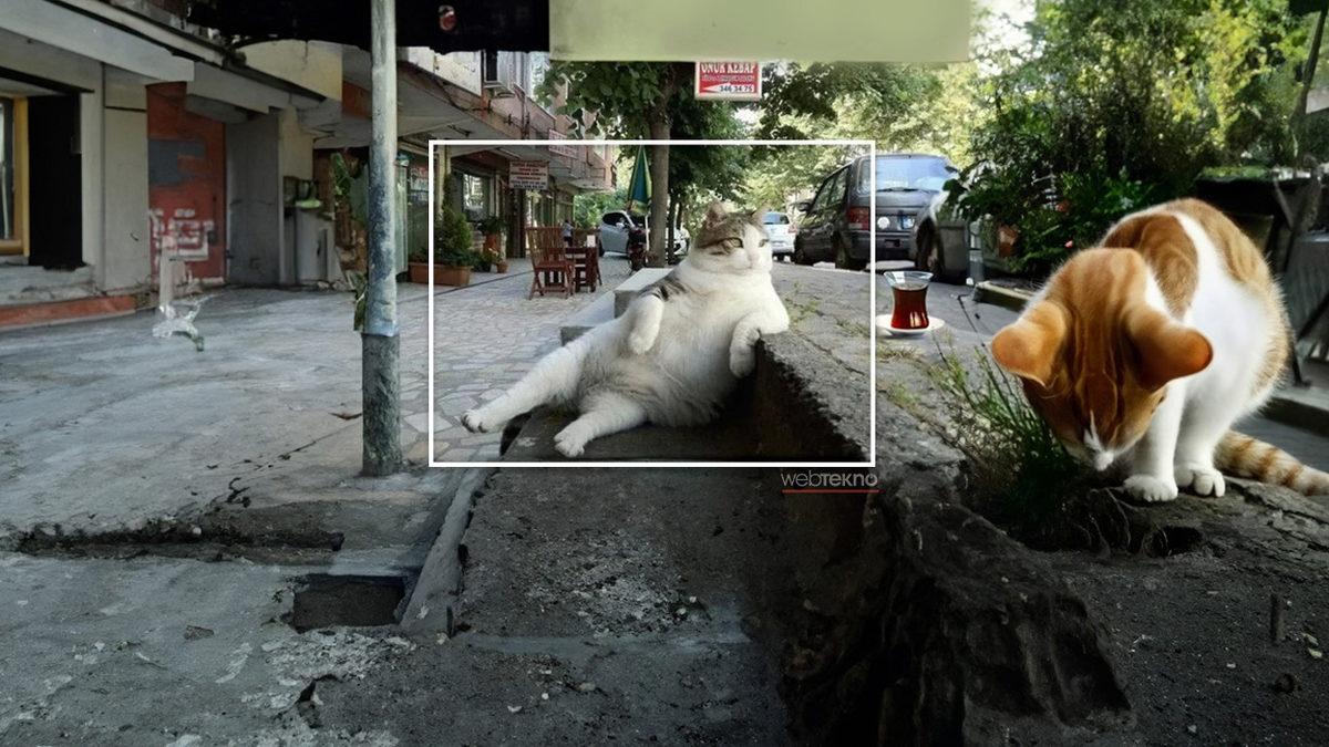 Türk İnternet Fenomenlerinin İkonik Görsellerini Yapay Zekâ ile Genişlettik: Meğer Perde Arkasında Neler Varmış Neler!