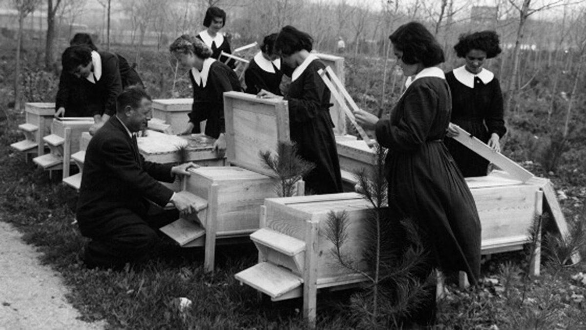 Aydın İnsanlar Yetiştiren Köy Enstitüleri Günümüzde Hâlâ Var Olsaydı Neler Olurdu?