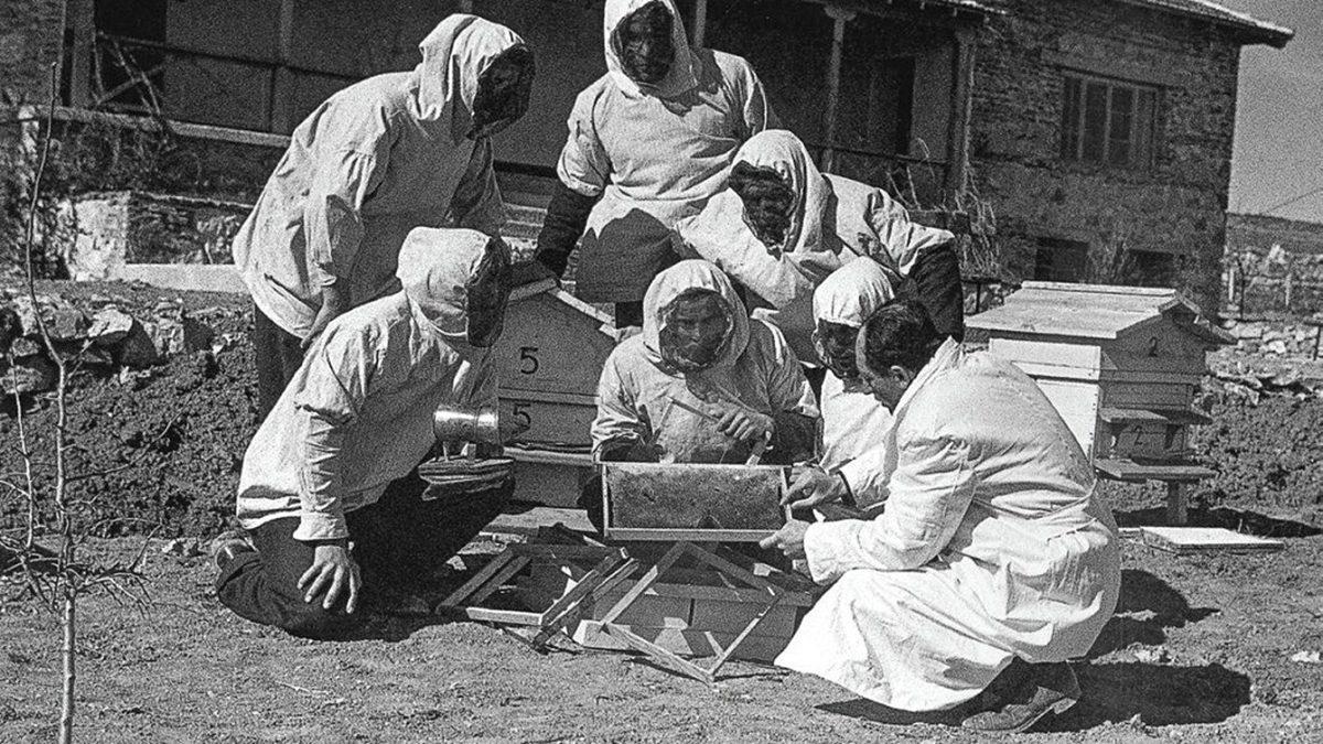 Aydın İnsanlar Yetiştiren Köy Enstitüleri Günümüzde Hâlâ Var Olsaydı Neler Olurdu?