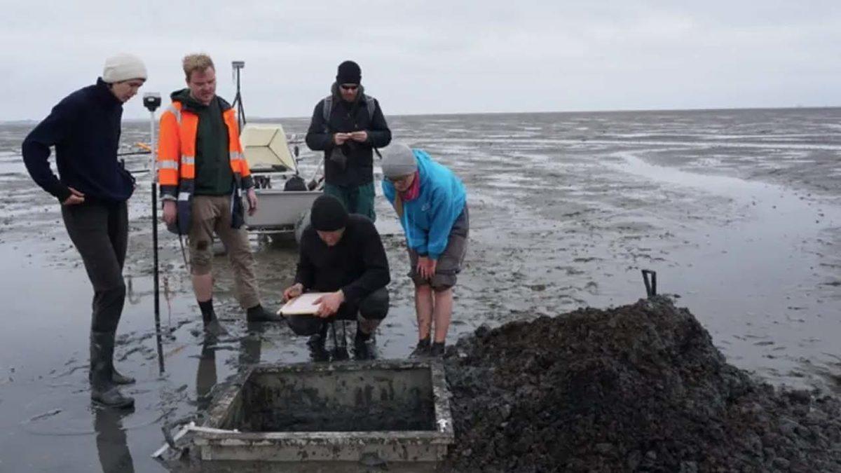 Okyanus Tarafından Yutulan Bir Şehrin İzleri, Yüzyıllar Sonra İlk Kez Bulundu