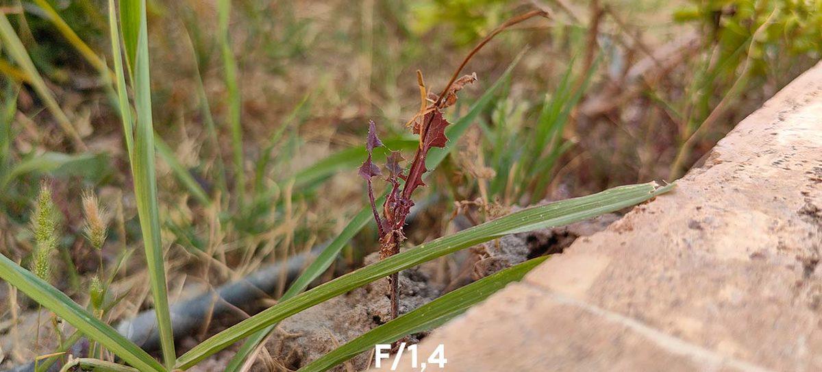 Telefonların Kamera Kralı Huawei P60 Pro’yu İnceledik: İşte Hakkında Merak Ettiğiniz Her Şey