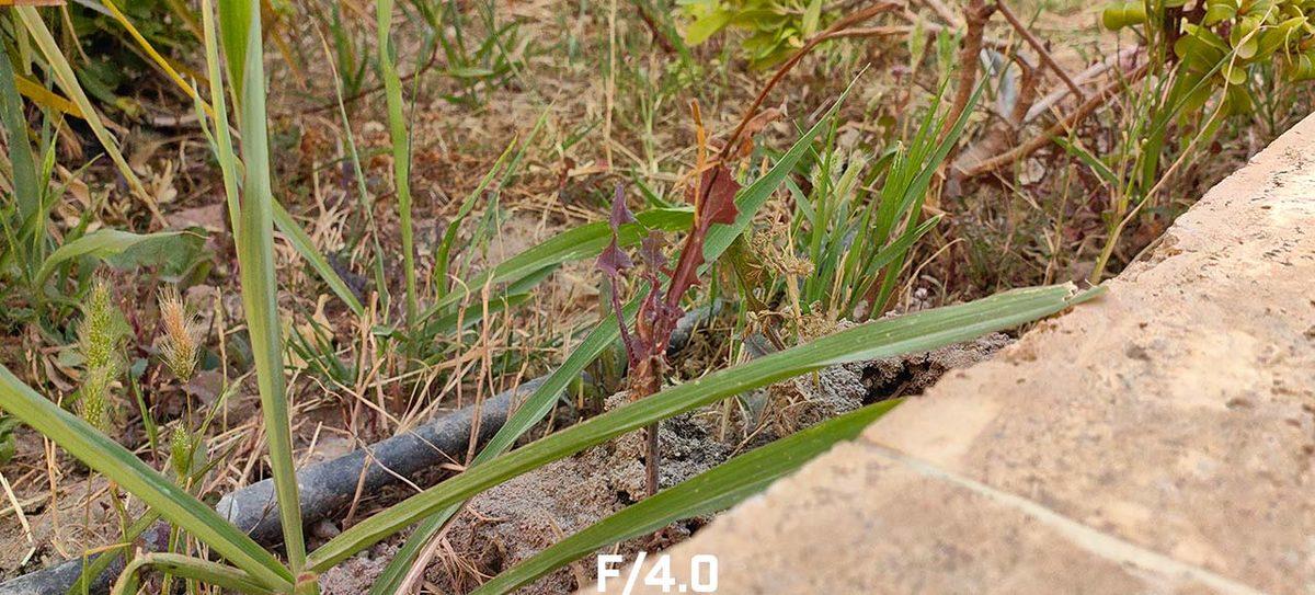 Telefonların Kamera Kralı Huawei P60 Pro’yu İnceledik: İşte Hakkında Merak Ettiğiniz Her Şey