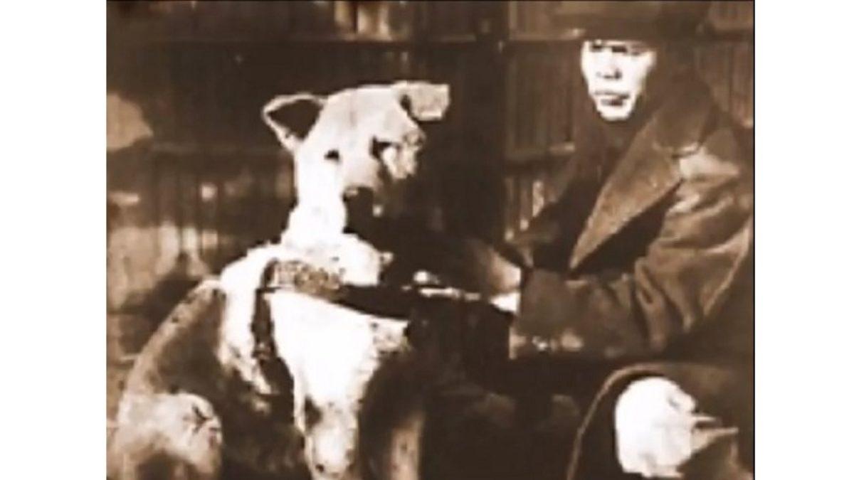 Vefanın Yalnızca İnsana Özgü Bir Duygu Olmadığını Gösteren Köpek Hachiko’nun Gerçek Öyküsünü Okuyunca Gözyaşlarınıza Hakim Olamayacaksınız