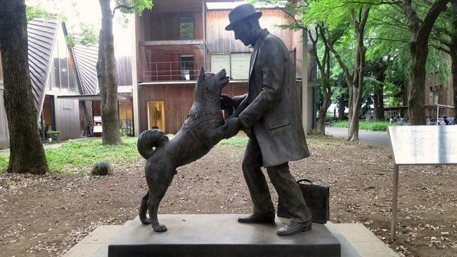 Vefanın Yalnızca İnsana Özgü Bir Duygu Olmadığını Gösteren Köpek Hachiko’nun Gerçek Öyküsünü Okuyunca Gözyaşlarınıza Hakim Olamayacaksınız