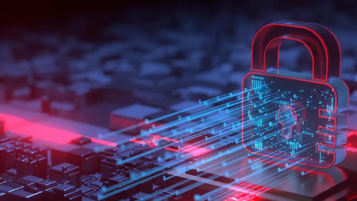 Medya ve Hukuk Çalışmaları Derneği, Türkiye’deki Herkesin Kişisel Bilgilerinin Paylaşıldığı Site İçin Harekete Geçti