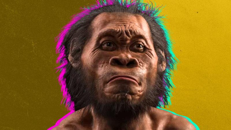 Yürüyebilen En Küçük Beyinli İnsan Türünün Yeni Becerileri Keşfedildi: Ölüsünü Gömüyor, Ateş Yakabiliyor, Resim Çizebiliyor