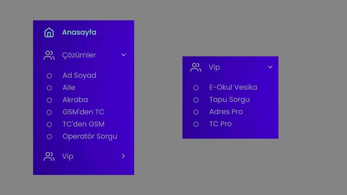 Bedavaya Tüm Türkiye’nin Kimlik Bilgisini Paylaşan İnternet Sitesi Hakkında Yeni İddialar: 85 Değil, 101 Milyon Kişinin Verisi Var!