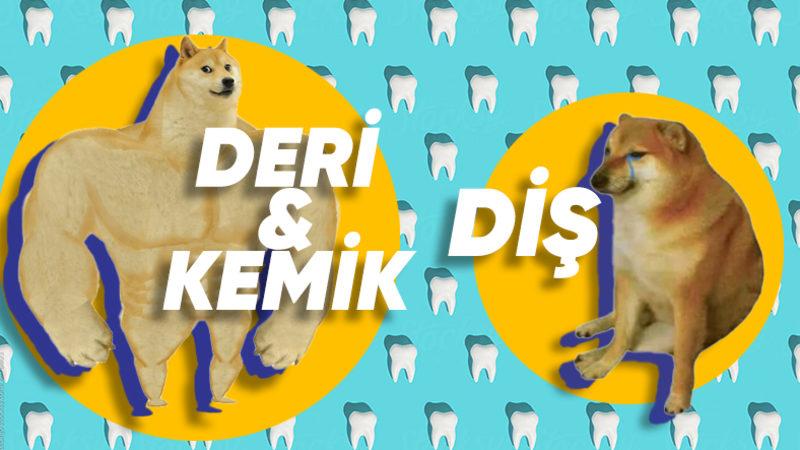 Yaralar, Kemik Kırıkları Kendi Kendine İyileşebilirken Dişler Bu Yetenekten Neden Mahrumdur?