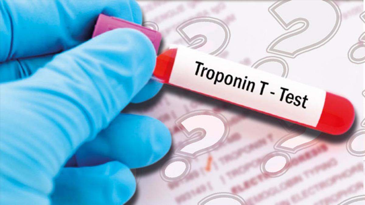 Ölçümü Sayesinde Kalp ile İlgili Sorunları Öğrenmemizi Sağlayan ’Troponin’ Nedir, Yüksekliği Ne Anlama Gelir?