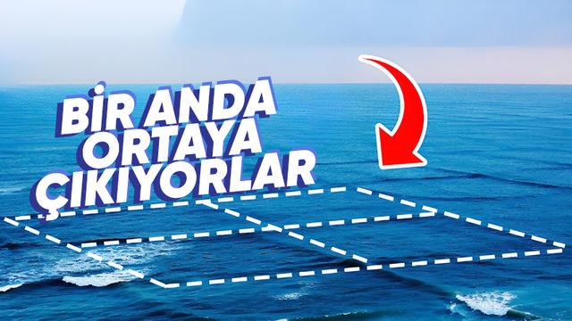 Denizde Gördüğünüz An Kaçmanız Gereken "Kare Dalgalar" Neden Bu Kadar Tehlikeli?