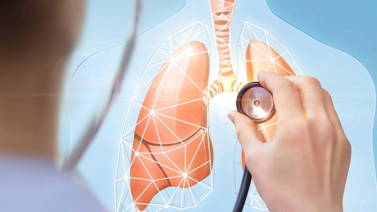 Haftada Bir Kredi Kartı Üretilebilecek Kadar Çok Mikroplastik Soluduğumuz Ortaya Çıktı