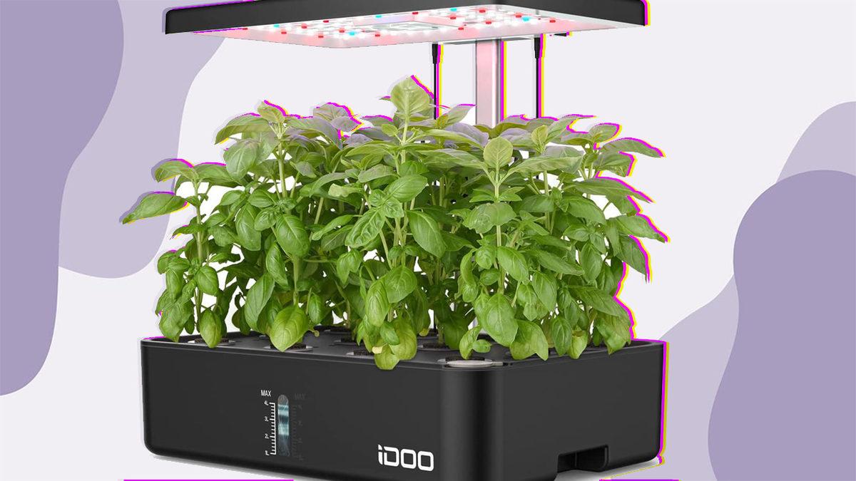 Babalar Gününde Alabileceğiniz Birbirinden Güzel 15 Hediye Önerisi