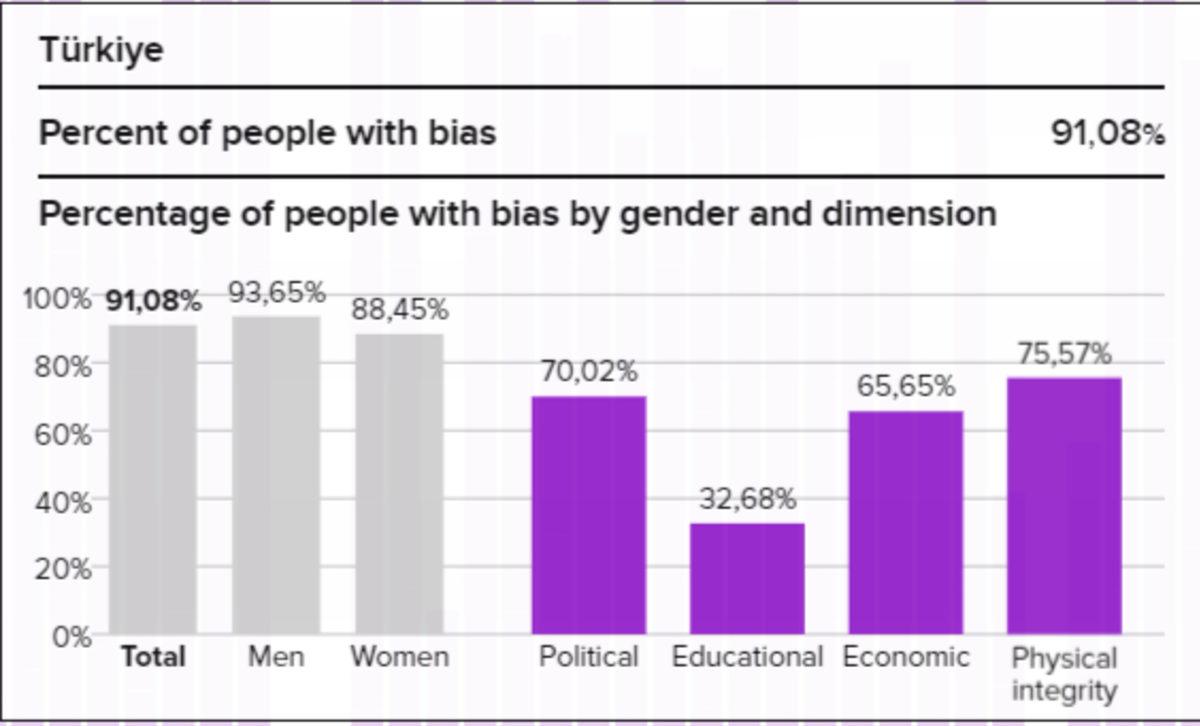 Birleşmiş Milletler’e Göre Türkiye’nin %91’i Cinsiyet Ön Yargılarına Sahip: Dörtte Üçü ise Kadın Partnere Şiddeti Meşru Görüyor