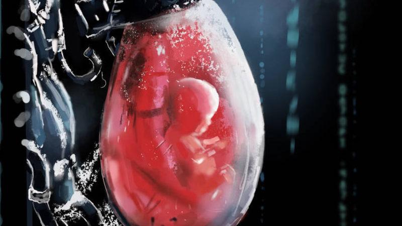 İnsanlık Tarihinde Bir İlk: Sperm ve Yumurta Olmadan, İnsan Embriyosu Geliştirildi