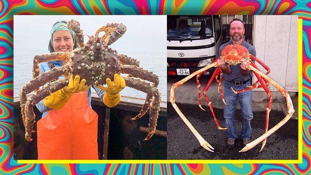 Bilim İnsanlarının Bile Açıklayamadığı Olay: Evrimsel Süreçteki "Bir Şey", Canlılara Yengeç Benzeri Görünüm Kazandırıyor!