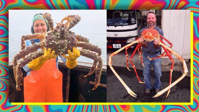 Bilim İnsanlarının Bile Açıklayamadığı Olay: Evrimsel Süreçteki "Bir Şey", Canlılara Yengeç Benzeri Görünüm Kazandırıyor!