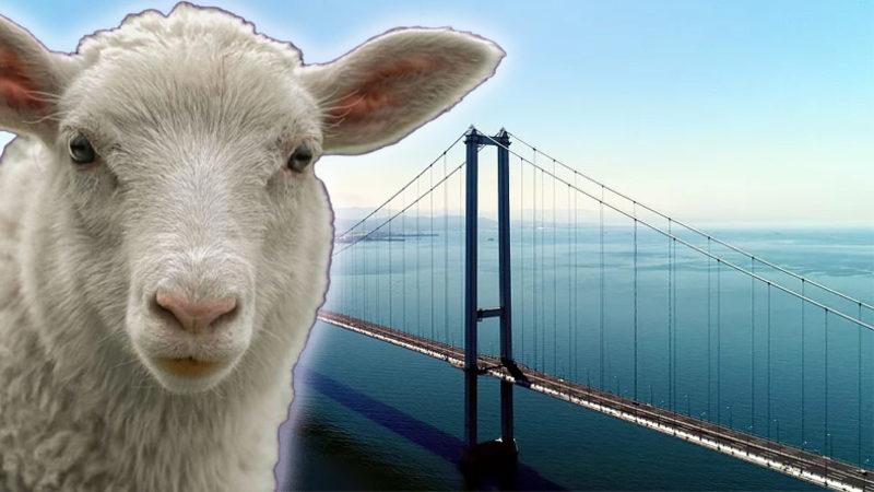 Bayramda Hangi Otoyol ve Toplu Taşıma Araçlarının Ücretsiz Olacağı Açıklandı