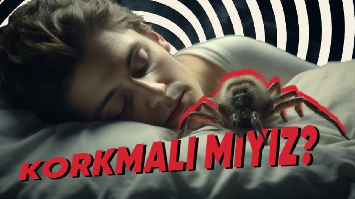 Bir Örümcek Siz Uyurken Ağzınıza Girerse Ne Olur? Örümcek Adam’a Dönüşmeyeceğiniz Kesin!