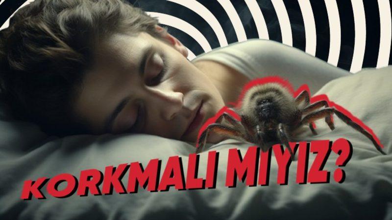 Bir Örümcek Siz Uyurken Ağzınıza Girerse Ne Olur? Örümcek Adam’a Dönüşmeyeceğiniz Kesin!