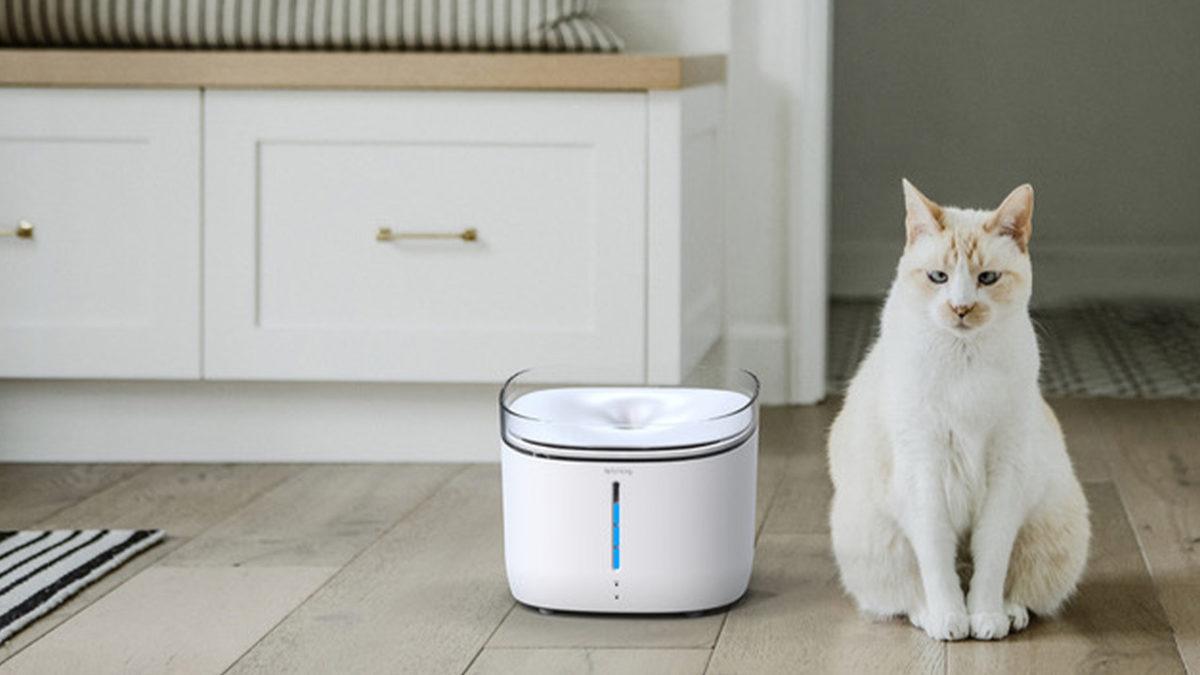 Evcil Hayvan Sahiplerinin En Büyük 3 Sorununu Kökten Çözecek 3 Akıllı Ürün