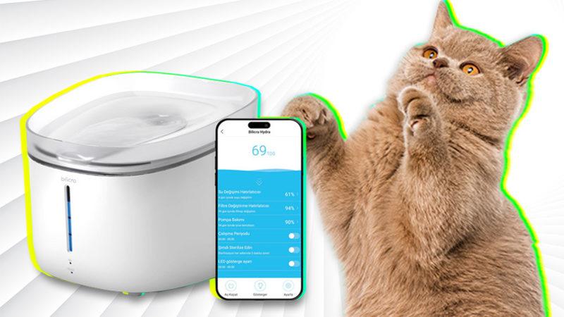 Evcil Hayvan Sahiplerinin En Büyük 3 Sorununu Kökten Çözecek 3 Akıllı Ürün