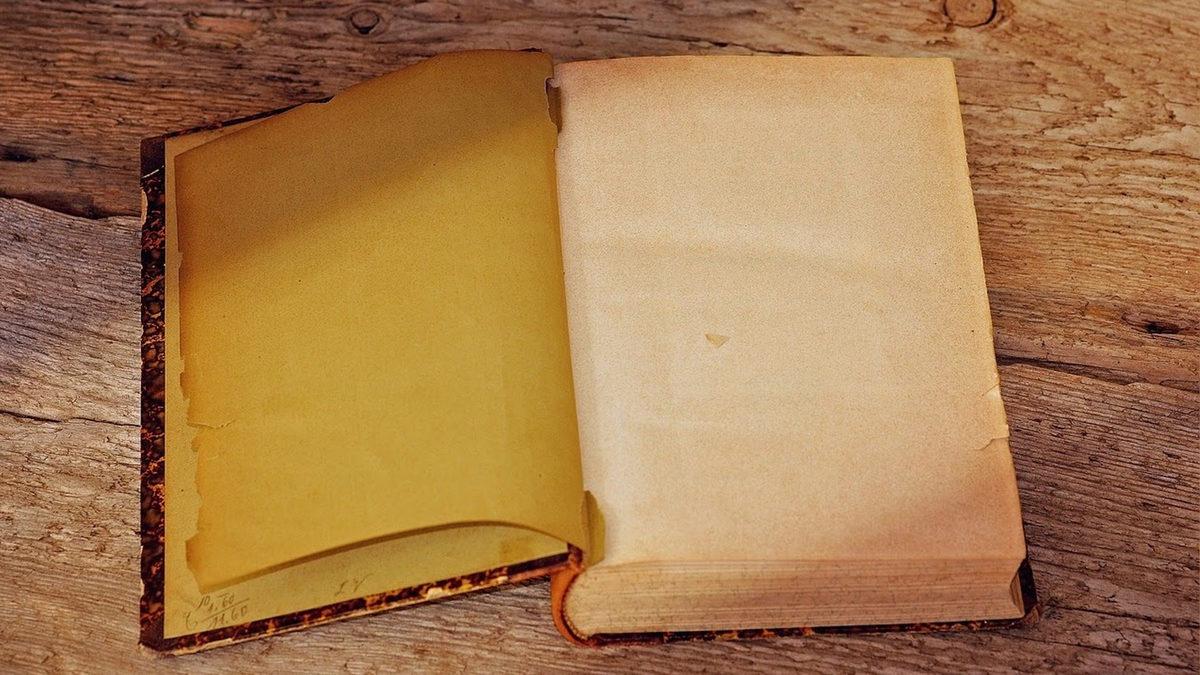 Defter Sayfalarının Solundaki Bu Kırmızı Çizgi Nasıl Ortaya Çıktı? Farelerle Bir İlgisi Var!