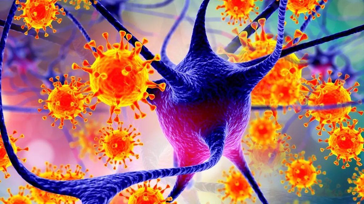 HIV’nin Beyinde de Saklanabildiği Ortaya Çıktı: Kalıcı Tedaviler Geliştirmeye Yardımcı Olabilir!