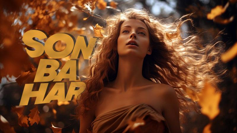 Ağaçlar Madem Çok İyi Oksijen Kaynağı, O Zaman Yapraklarını Döktüklerinde Neden Hâlâ Rahatça Nefes Alabiliyoruz?