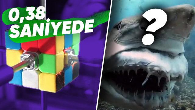 Hem Etkileyici Hem Öğretici: Bilime Olan Merakınızı Daha da Alevlendirecek Birbirinden İlginç GIF’ler