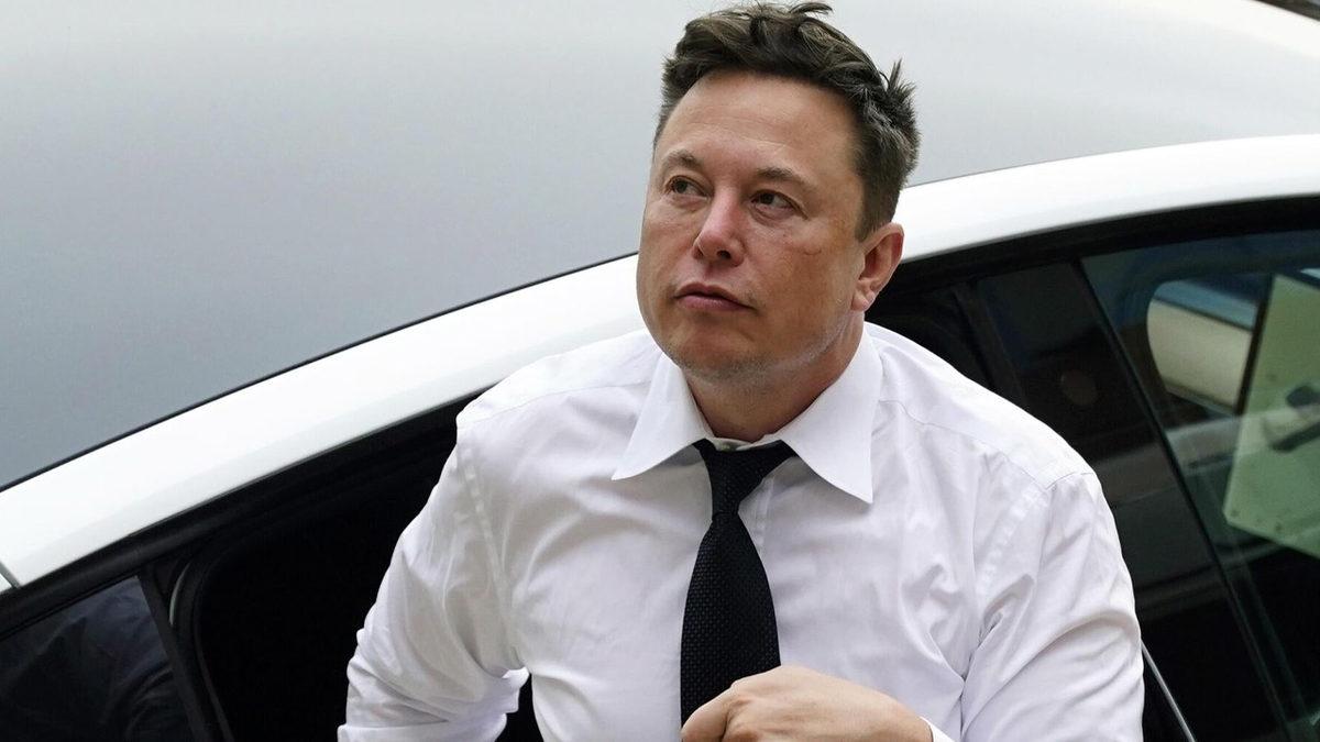 Elon Musk, Mark Zuckerberg ile Nerede Dövüşeceğini 