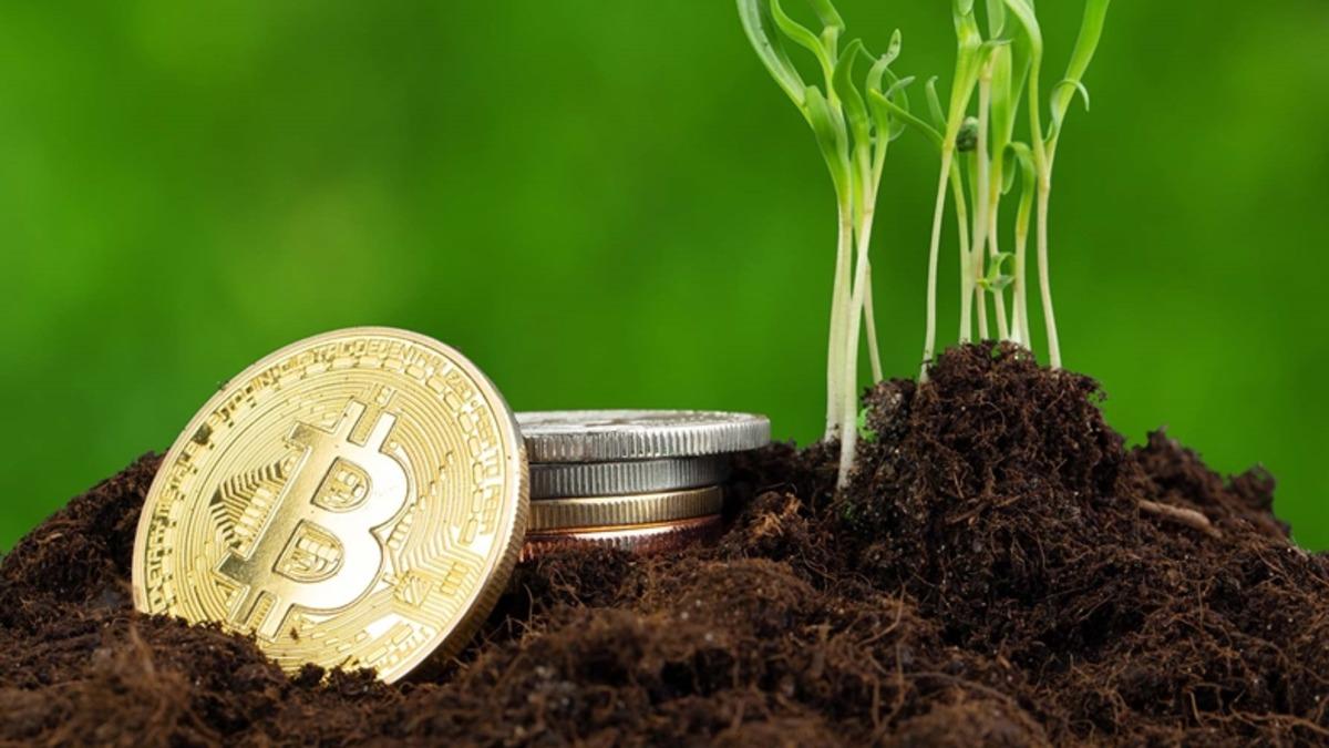 Kripto Para Piyasası Sayesinde Erken Emekli Olmak, Geleceğin Yatırım Stratejisi mi?