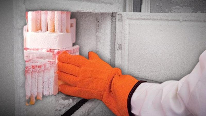 ABD’de Akıllara Durgunluk Veren Olay: Bir Temizlikçi, Yıllardır Süren Bir Bilimsel Araştırmayı Buzdolabının Fişini Çekerek Yok Etti!