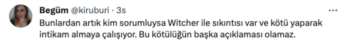 The Witcher Dizisindeki Bir Karakter Uyarlaması Daha Sosyal Medyanın Diline Düştü: İşte Gelen Tepkiler