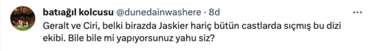 The Witcher Dizisindeki Bir Karakter Uyarlaması Daha Sosyal Medyanın Diline Düştü: İşte Gelen Tepkiler