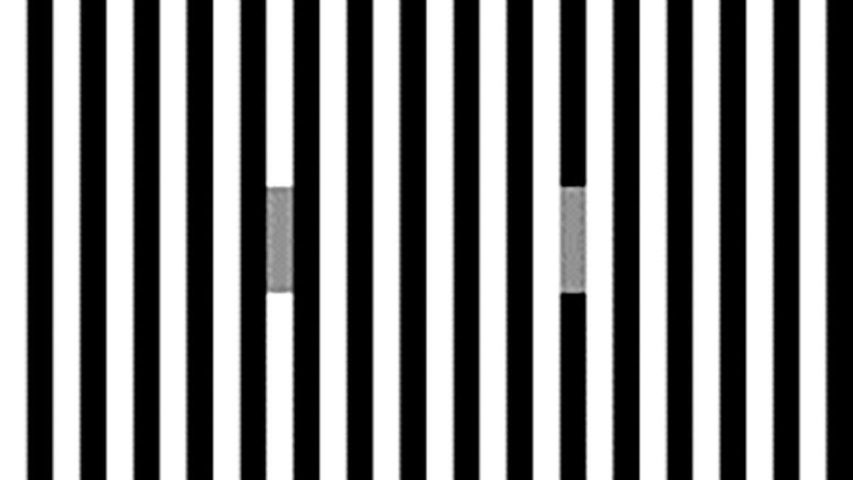 Optik İllüzyonların Bizi Nasıl Kandırdığı Ortaya Çıktı: Tongaya Düşen Aslında Beynimiz Değilmiş!