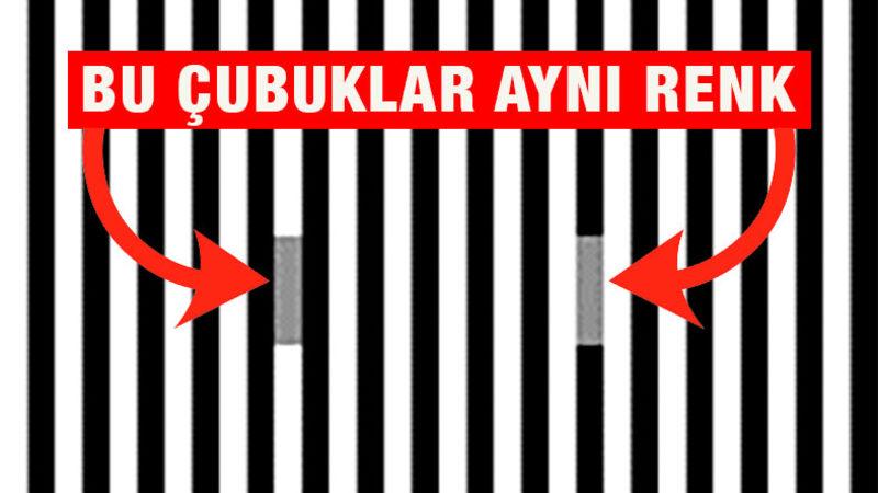 Optik İllüzyonların Bizi Nasıl Kandırdığı Ortaya Çıktı: Tongaya Düşen Aslında Beynimiz Değilmiş!