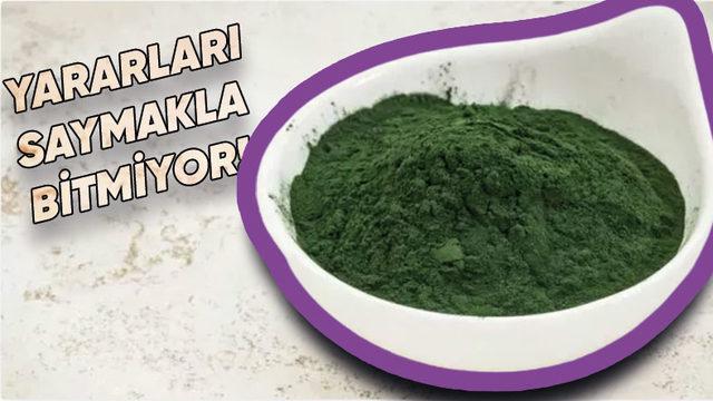 Son Döneminin Popüler Besin Takviyelerinden Biri Olan Bu İlginç Alg Türüyle Tanışın: Spirulina
